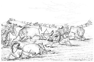 Inheemse Amerikanen jagen op buffels, 1841