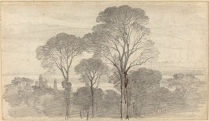 Een Avondlandschap met Hoge Bomen