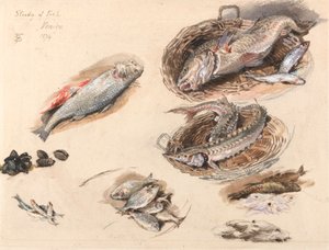 Studie van vis, Venetië door Myles Birket Foster