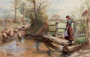 Uitzicht in Surrey