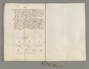 Certificaat van het verdrag in Den Haag gesloten tussen de Staten-Generaal en de Koning van Zweden om het tweede artikel van het verdrag van 5 april te verduidelijken door Unbekannt Unbekannt