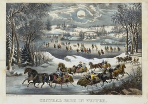 Central Park in de winter