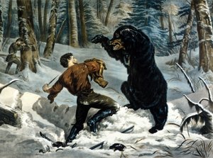Het leven van trappers (professionele jagers) in Canada: een jager wordt aangevallen door een grizzlybeer. Illustratie door Yves en Currier.