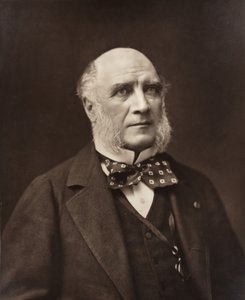 Élie-Louis, hertog Decazes Franse staatsman en diplomaat, 1819-1886, ca. 1853-1877