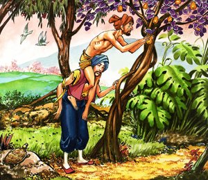 Sinbad de zeeman