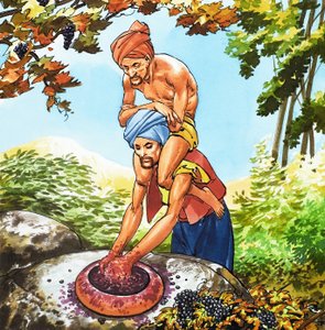 Sinbad de zeeman