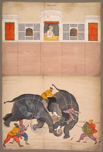 Twee Olifanten vechten in een binnenplaats voor Muhammad Shah, ca. 1730-40