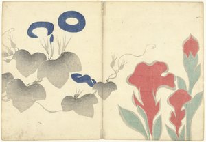 Blauwe winde en rode bloemen
