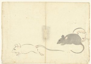 Drie ratten