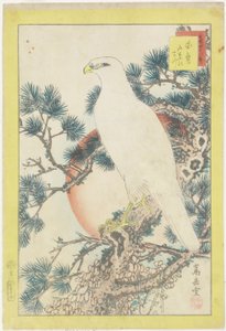 Nr. 1, Witte valk en vijfnaaldige den, 1859 door Nakayama Sugakudo