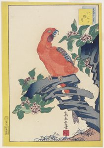 Roze papegaai op rots, 1859 door Nakayama Sugakudo