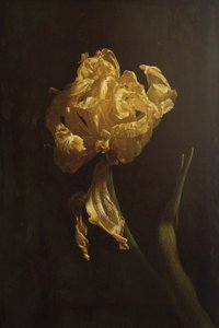  door Naoya Nakagawa
