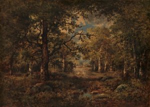 Een Uitzicht door Bomen: Fontainebleau