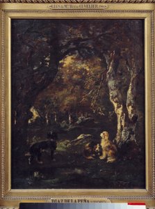 Honden in het bos