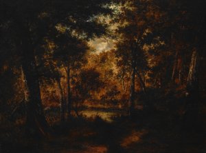 De elfenpoel