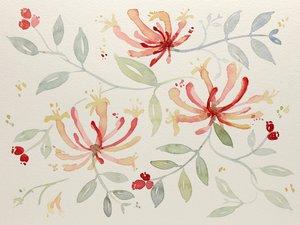 Verfijnde botanische aquarellen