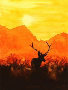 Silhouet van een hert bij zonsondergang door Natalie Bruns