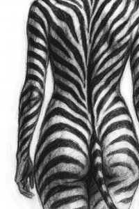 Formulier met zebrastrepen