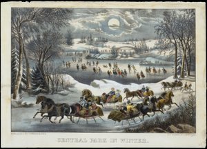 Central Park in de Winter, 1877-94
