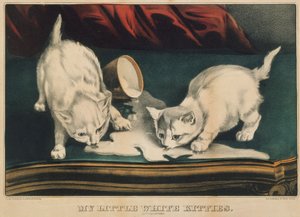 Mijn kleine witte katjes - In de problemen, 1871