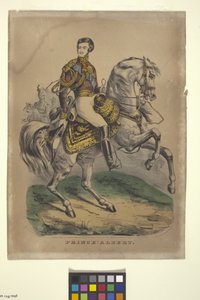 Prins Albert door Nathaniel Currier