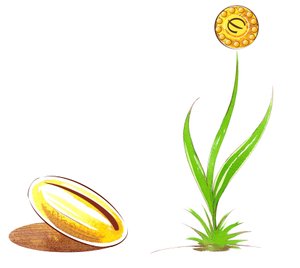 Zaad en scheut - illustratie van financiële allegorie door Neale Osborne