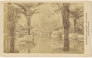 Trofeeën [plantengroei, interieur in Crystal Palace].