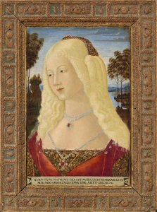 Portret van een dame