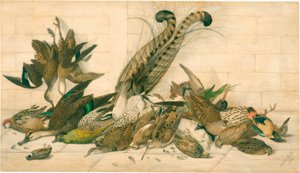 zonder titel (Australische jachtvogels) door Neville Henry Cayley