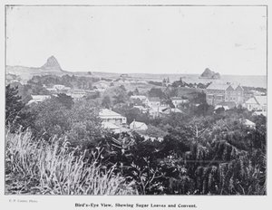 Nieuw Plymouth, Nieuw-Zeeland: Vogelvlucht, met Suikerbroden en Klooster door New Zealand Photographer