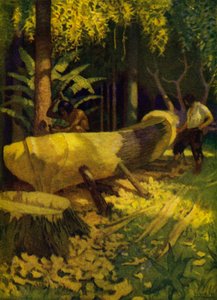 Illustratie voor Robinson Crusoe door Newell Convers (after) Wyeth
