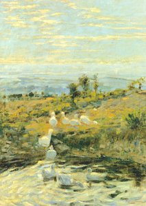 Eenden in de ochtend, ca. 1892, door Niccolo Cannicci (1846-1906)