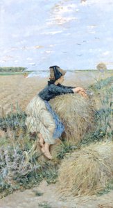 Tarwegras in Tombolo door Niccolo Cannicci