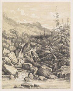 Berglandschap met waterval