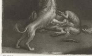 Twee spelende honden door Nicolaas Verkolje