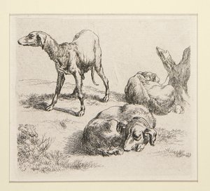 2 etsen uit De set van verschillende dieren, met de man onder de bomen, de zogenaamde man door Nicolaes Berchem
