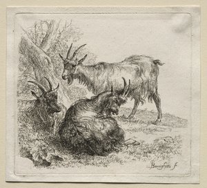 Animalia: Drie Geiten door Nicolaes Berchem