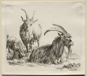 Dieren: Drie Geiten