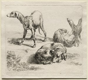 Animalia: Drie Jachthonden door Nicolaes Berchem