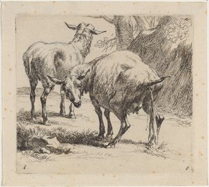 Twee Schapen, Eén Plassend door Nicolaes Berchem