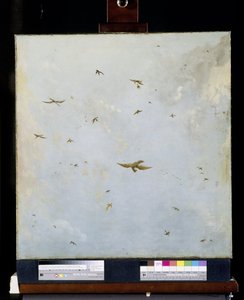 Poppenhuis plafondschildering van een bewolkte hemel met vogels