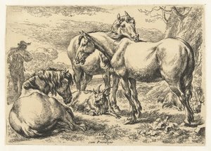 Drie paarden Dieren (serie titel)
