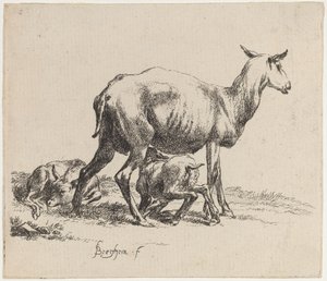 Ooi die haar lam voedt door Nicolaes Pietersz Berchem