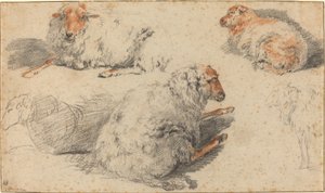 Schapen door Nicolaes Pietersz Berchem