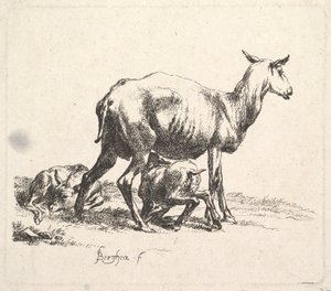 Schaap met zogend lam door Nicolaes Pietersz. Berchem