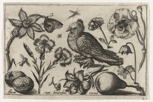 Bloemen, een peer en een duif door Nicolaes de Bruyn (possibly)