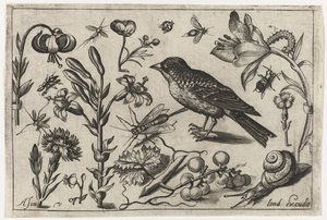 Bloemen, een slak en een vogel door Nicolaes de Bruyn (possibly)