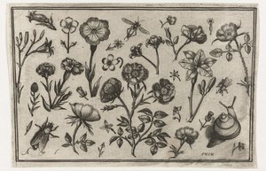 Bloemen, een vlieg en een slak door Nicolaes de Bruyn (possibly)