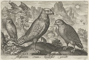 Arend en andere roofvogels door Nicolaes de Bruyn
