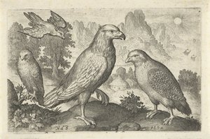 Arend en andere roofvogels door Nicolaes de Bruyn